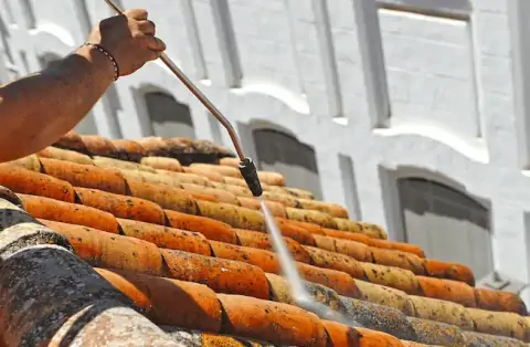 Nettoyage de toitures - Paley